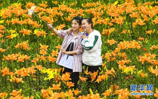 （社会）（4）黑龙江伊春：消夏旅游热