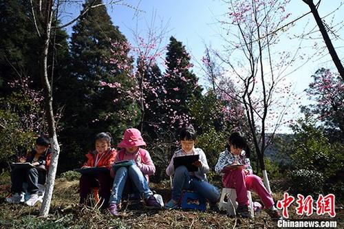 春城桃花节昆明萌娃桃花节里画桃花