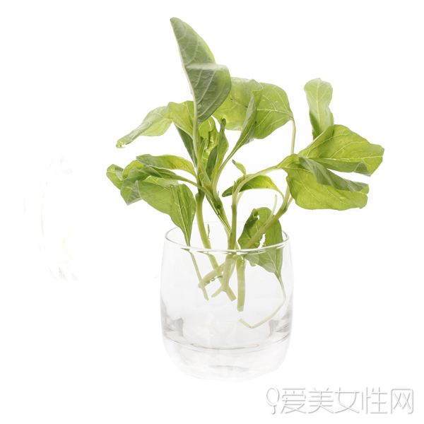 时令野菜| 美味健康兼顾的春之飨宴