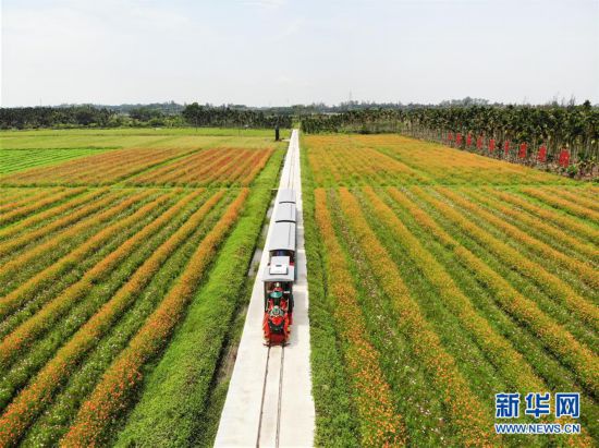 （经济）（1）海南琼海：农旅结合助推乡村振兴
