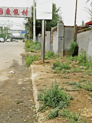 整治已到攻坚阶段不力问题仍然存在