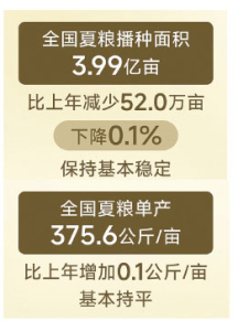 点击放大