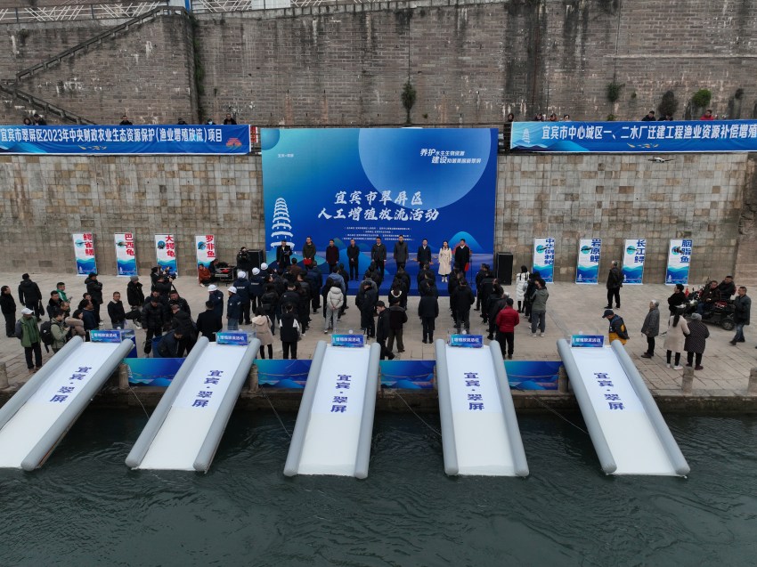 放流现场。宜宾市广播电视台供图