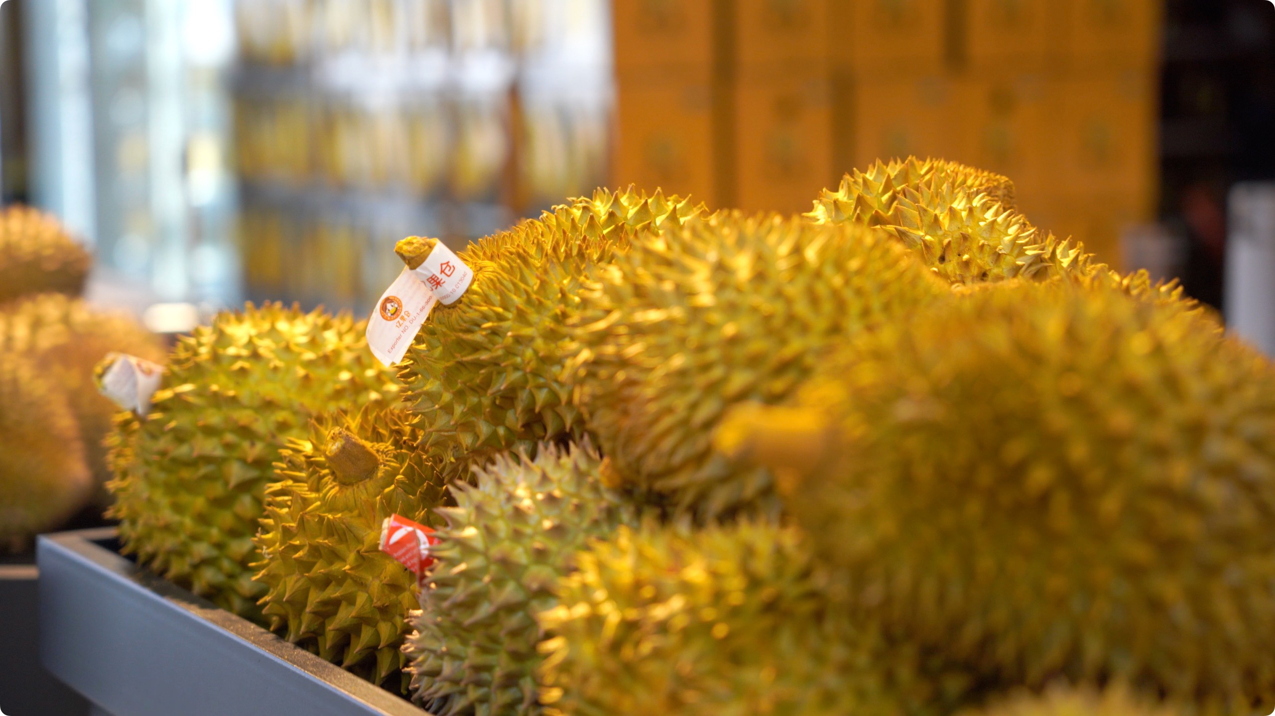 5月初,人民网记者申佳平摄