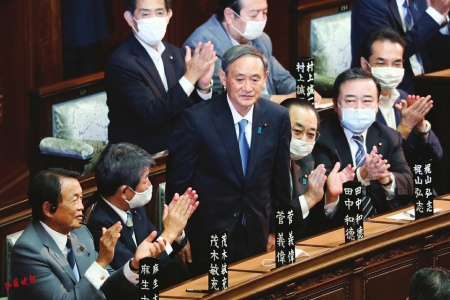 点击放大