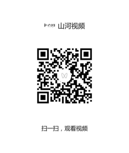 点击放大