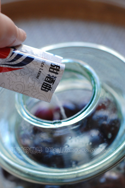 自酿葡萄酒-忻州在线 忻州新闻 忻州日报网 忻