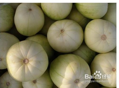 怎样挑选甜香瓜-忻州在线 忻州新闻 忻州日报网