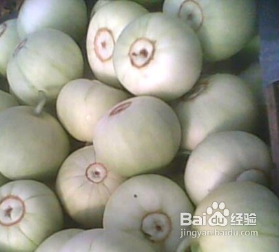 怎样挑选甜香瓜-忻州在线 忻州新闻 忻州日报网