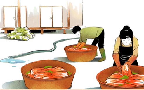 韩国泡菜改名 辛奇-忻州在线 忻州新闻 忻州日