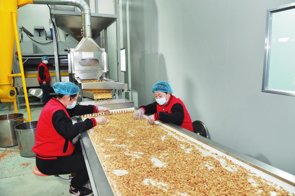 繁峙县引进高碑店市溢香坊食品有限公司芝麻花生深加工项目