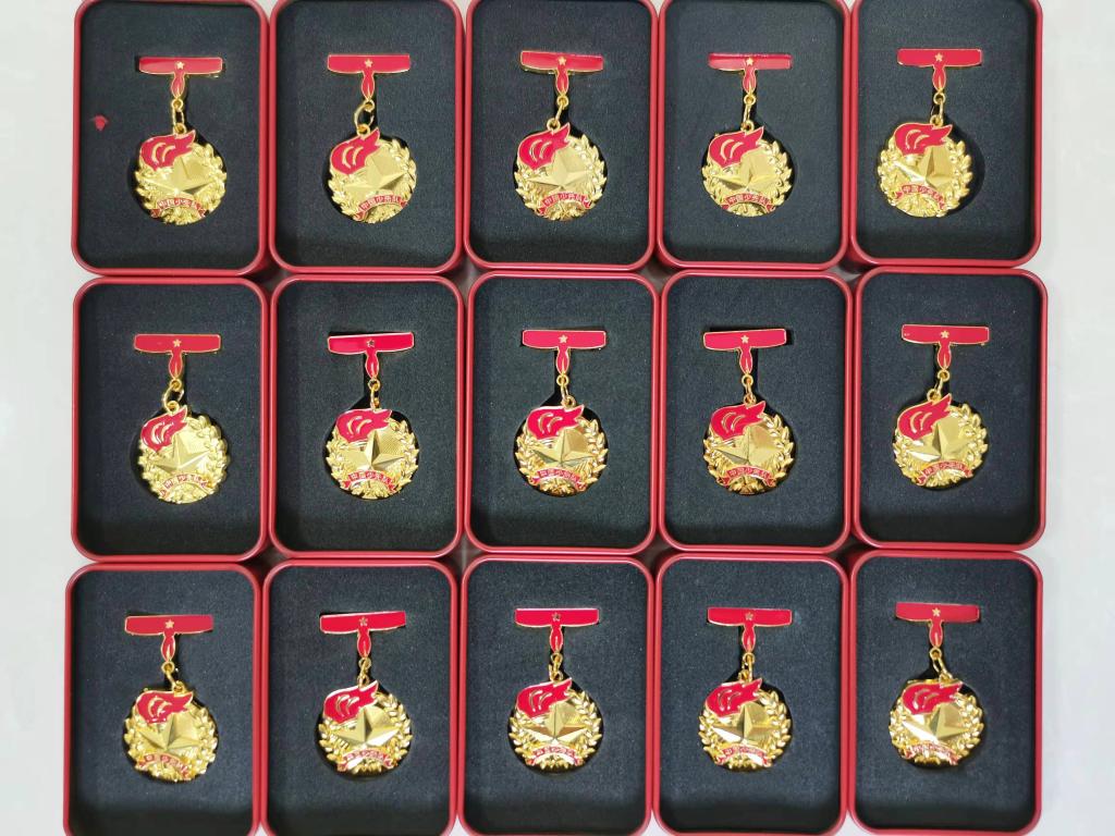 市实验小学颁发红领巾奖章