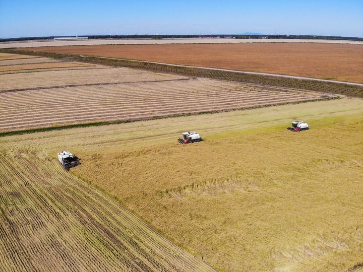 这是在位于黑龙江双鸭山市友谊县的北大荒农业股份有限公司友谊分公司一地块拍摄的水稻收获现场(2023年9月21日摄,无人机照片)。新华社记者 王松 摄