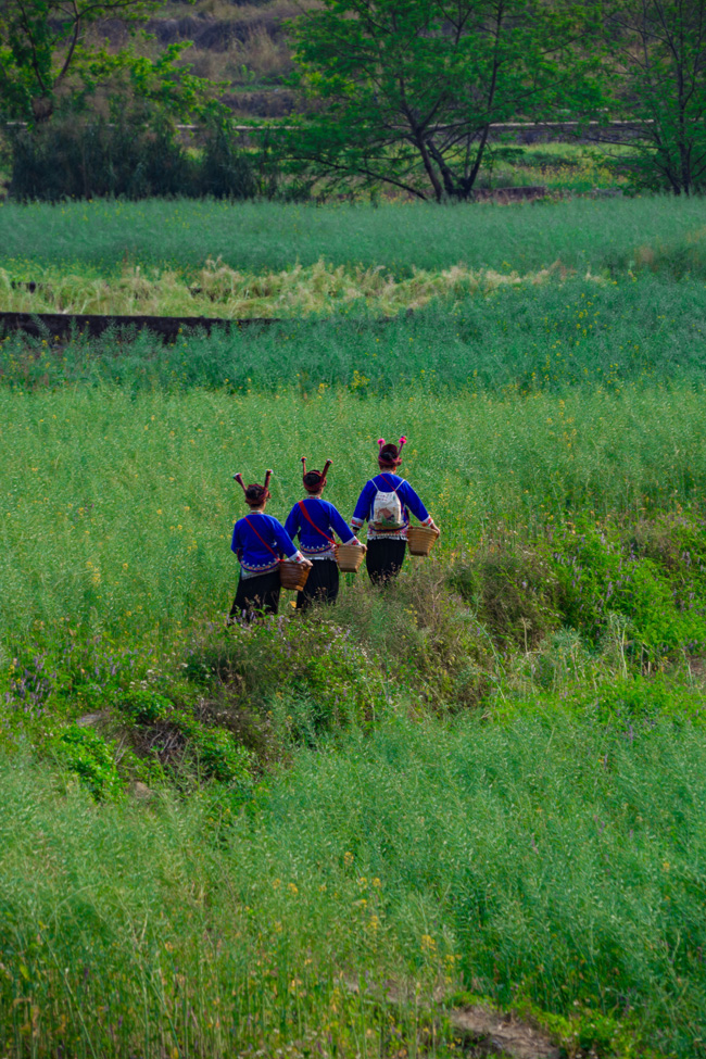 世外桃源春光好。网友“二流摄影师”摄